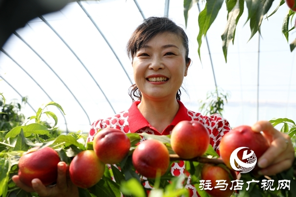 黨員為農(nóng)產(chǎn)品代言，政協(xié)助力脫貧攻堅(jiān) 
