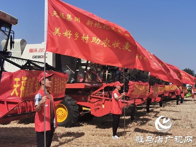天福、新地花生集團(tuán)助農(nóng)收麥忙 三夏時(shí)節(jié)確保顆粒歸倉(cāng)
