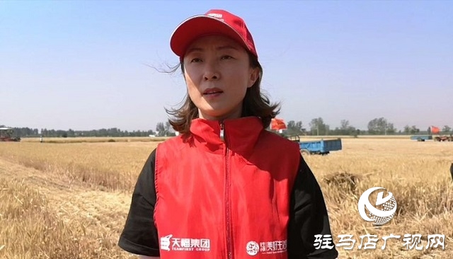 天福、新地花生集團(tuán)助農(nóng)收麥忙 三夏時(shí)節(jié)確保顆粒歸倉(cāng)