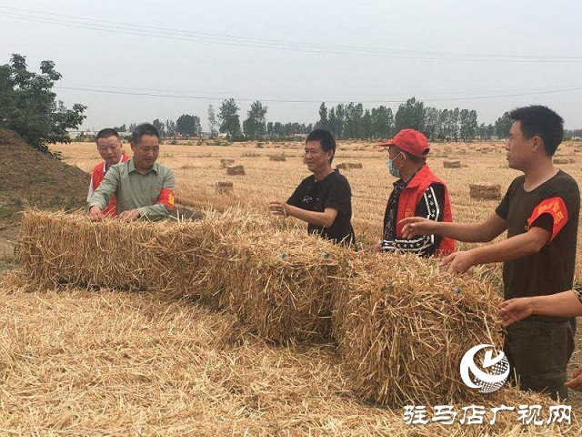 正陽縣蘭青鄉(xiāng)：禁燒“戰(zhàn)場”，黨員在前