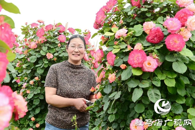 泌陽李春陽：新時代踐行綠色發(fā)展思想的巾幗標兵