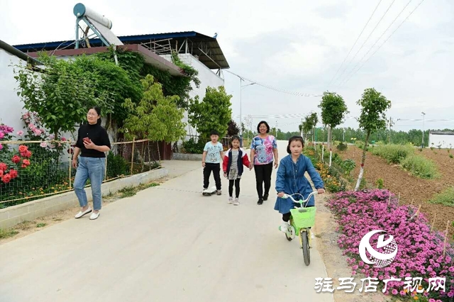 泌陽李春陽：新時代踐行綠色發(fā)展思想的巾幗標兵