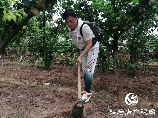 “好鈣肥、北沃造”——北沃農(nóng)業(yè)打造“鈣肥航母”