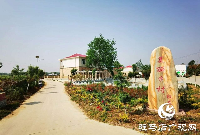 泌陽李春陽：新時代踐行綠色發(fā)展思想的巾幗標兵