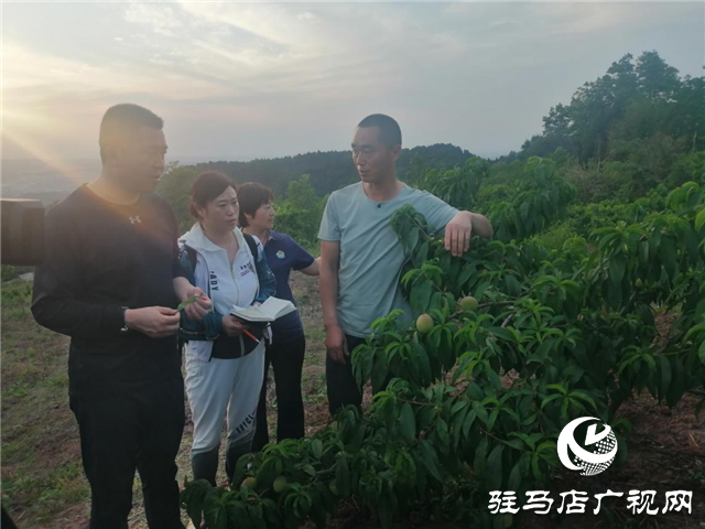 “好鈣肥、北沃造”——北沃農(nóng)業(yè)打造“鈣肥航母”