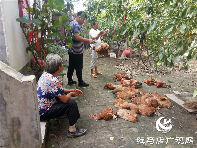 平輿縣玉皇廟鄉(xiāng)：消費(fèi)扶貧月、群眾喜慶季