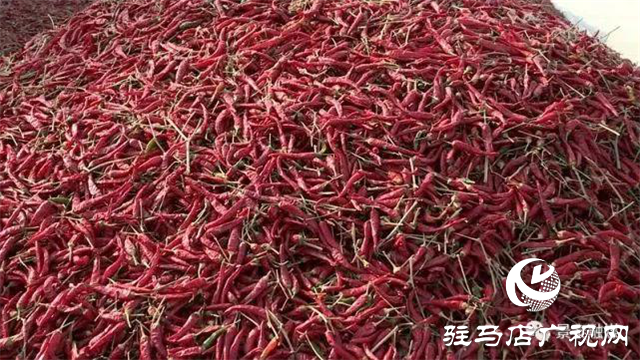 攜手北沃 見證豐收 ——北沃高鈣肥再顯神威，表現(xiàn)驚艷眾人！