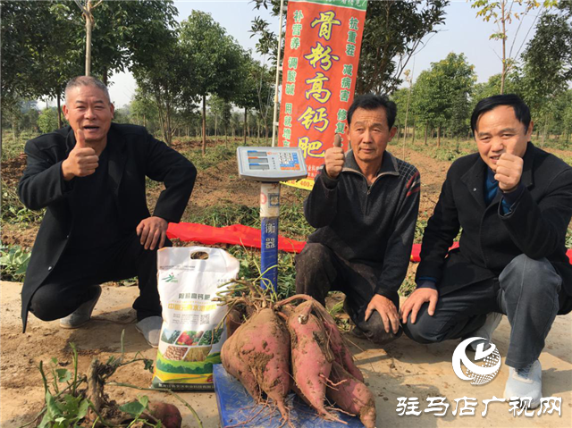 攜手北沃 見證豐收 ——北沃高鈣肥再顯神威，表現(xiàn)驚艷眾人！