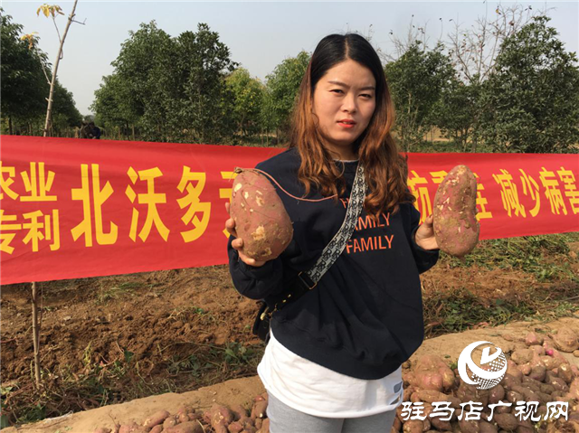 攜手北沃 見證豐收 ——北沃高鈣肥再顯神威，表現(xiàn)驚艷眾人！