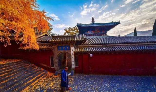 “古剎秋景惹人醉，金色滿園迎賓朋”——嵩山少林寺千年銀杏已到了一年之中最美時(shí)節(jié)！