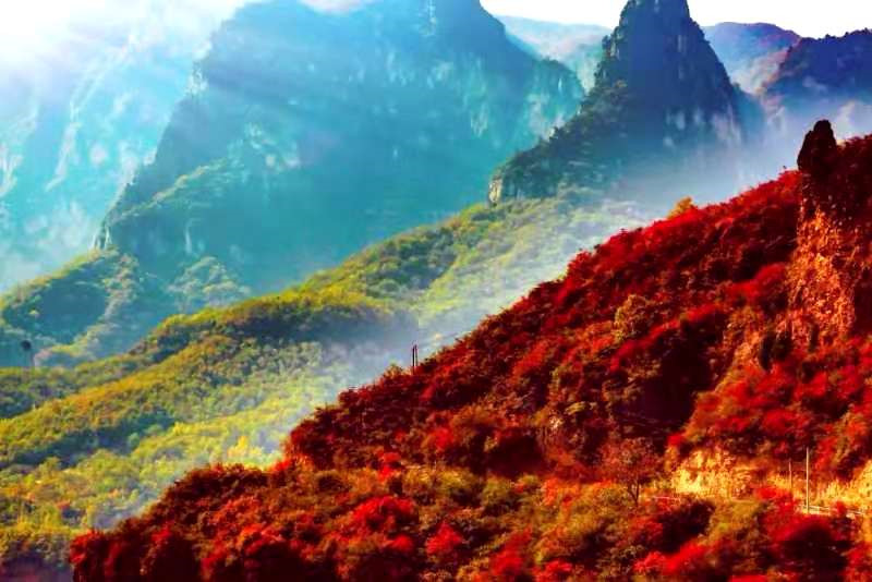 正是老家好時節(jié)，醉美河南惹人來