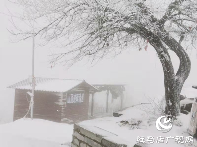 駐馬店2020年第一場(chǎng)雪“到貨” 老樂山銀裝素裹猶如仙境