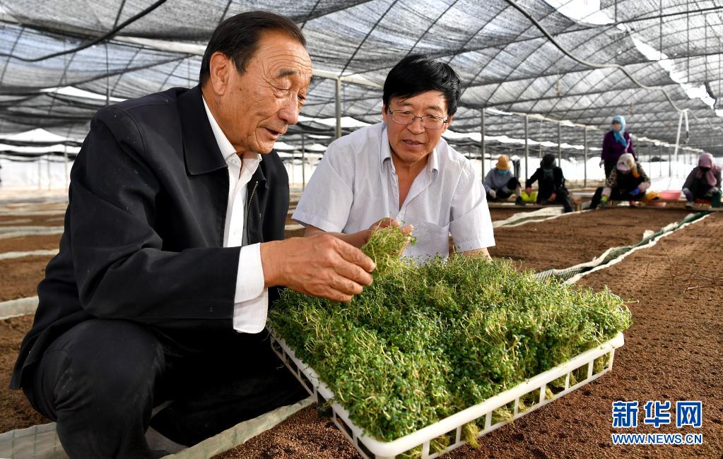 奮斗百年路 啟航新征程·“七一勛章”獲得者｜治沙英雄石光銀：干成治沙一件事，就算沒白活