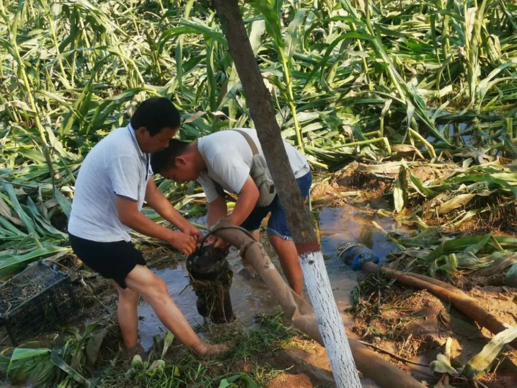 河南：汛情過后，科技支撐恢復(fù)農(nóng)業(yè)生產(chǎn)