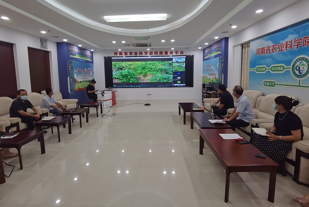 河南：云端“診斷”開“處方”，災(zāi)后復(fù)產(chǎn)技術(shù)到田間