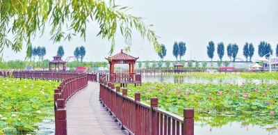 河南這些鄉(xiāng)村有了大變化！ 產(chǎn)業(yè)興、農(nóng)村美、農(nóng)民富的美麗畫卷正徐徐展開