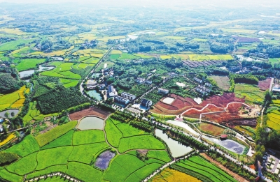 你好，小康丨光山縣東岳村：田園多彩 電商下鄉(xiāng)