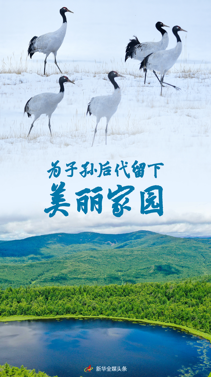 為子孫后代留下美麗家園——習(xí)近平總書記關(guān)心推動(dòng)國土綠化紀(jì)實(shí)