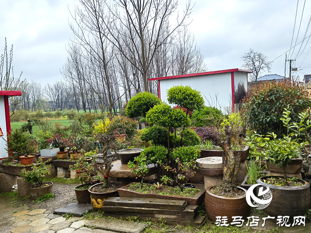 上蔡縣大路李鄉(xiāng)：強“本手”、創(chuàng)“妙手”、減“俗手”助力人居環(huán)境大嬗變