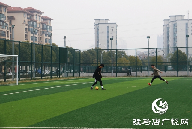 跑步、打球、 踢球…安排！駐馬店市體育場免費開放啦~
