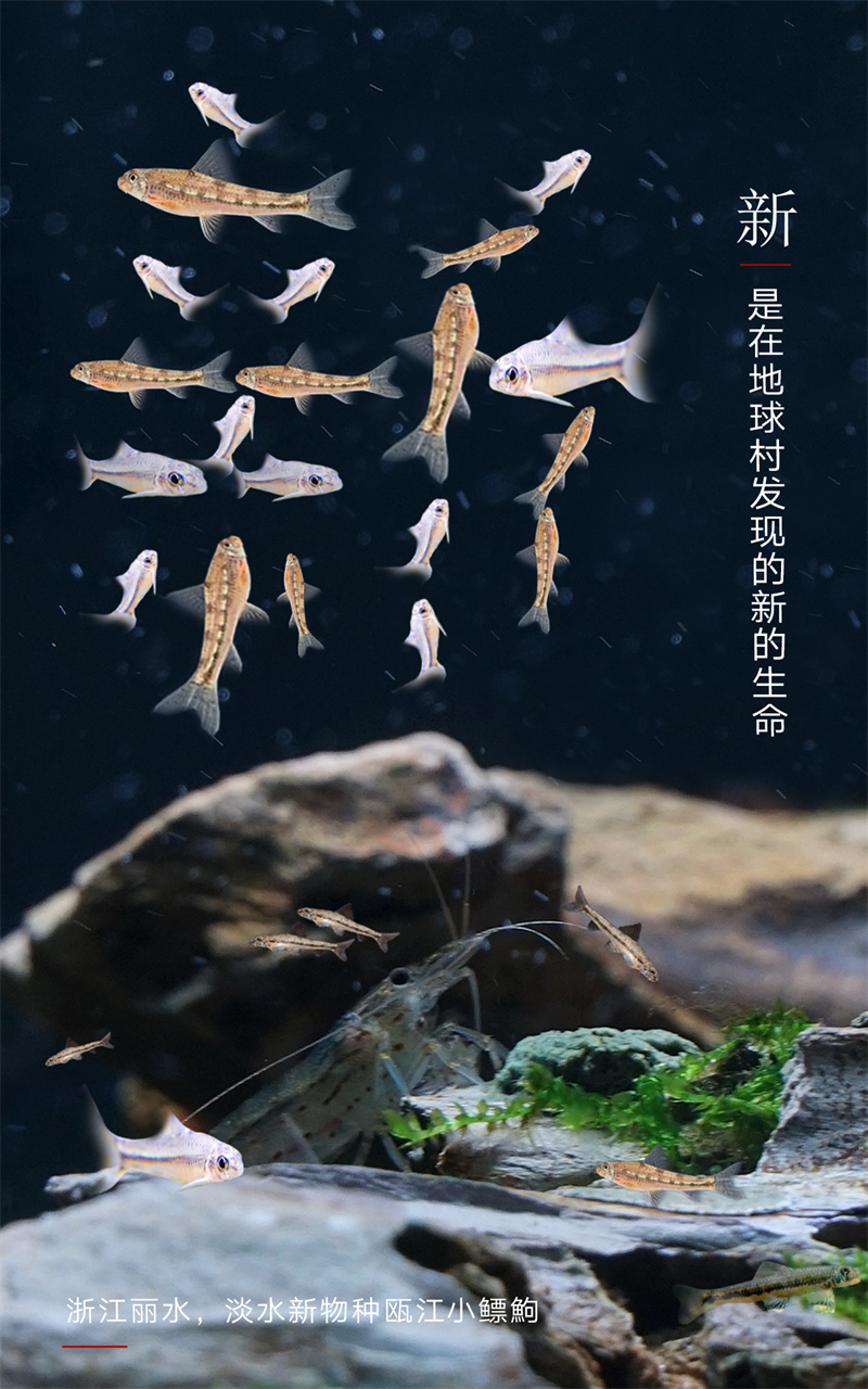  2023，上“新”了
