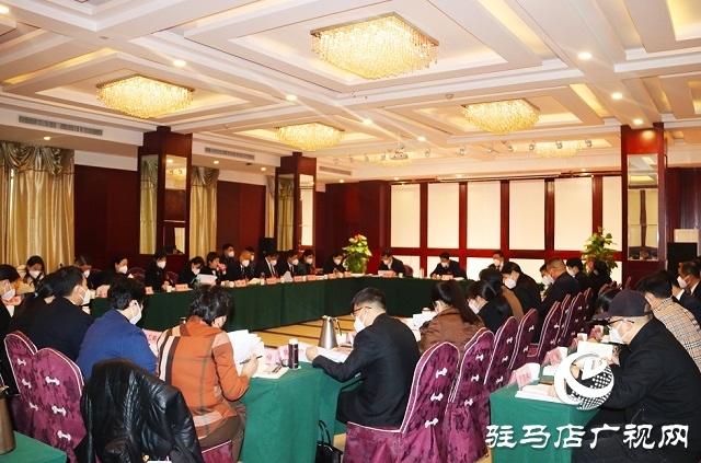 兩會(huì)時(shí)間｜駐馬店市政協(xié)委員分組討論《政府工作報(bào)告》和計(jì)劃、財(cái)政報(bào)告