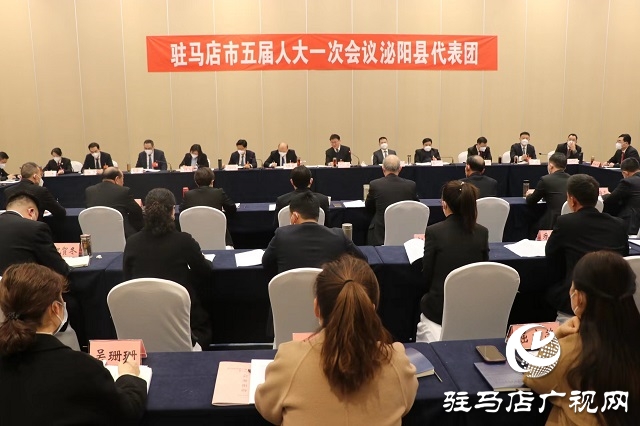 兩會(huì)時(shí)間｜駐馬店市人大代表分團(tuán)審議 政府工作報(bào)告審查計(jì)劃報(bào)告、 預(yù)算報(bào)告和草案