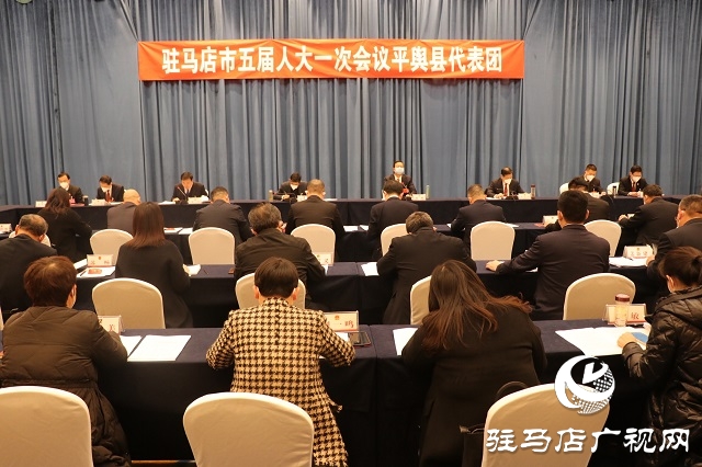 兩會(huì)時(shí)間｜駐馬店市人大代表分團(tuán)審議 政府工作報(bào)告審查計(jì)劃報(bào)告、 預(yù)算報(bào)告和草案