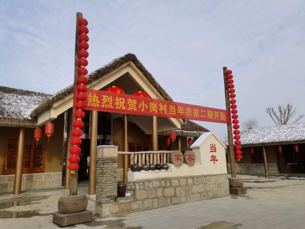 新春走基層丨小崗分紅五連增！產(chǎn)業(yè)到“崗”村民日子更紅火