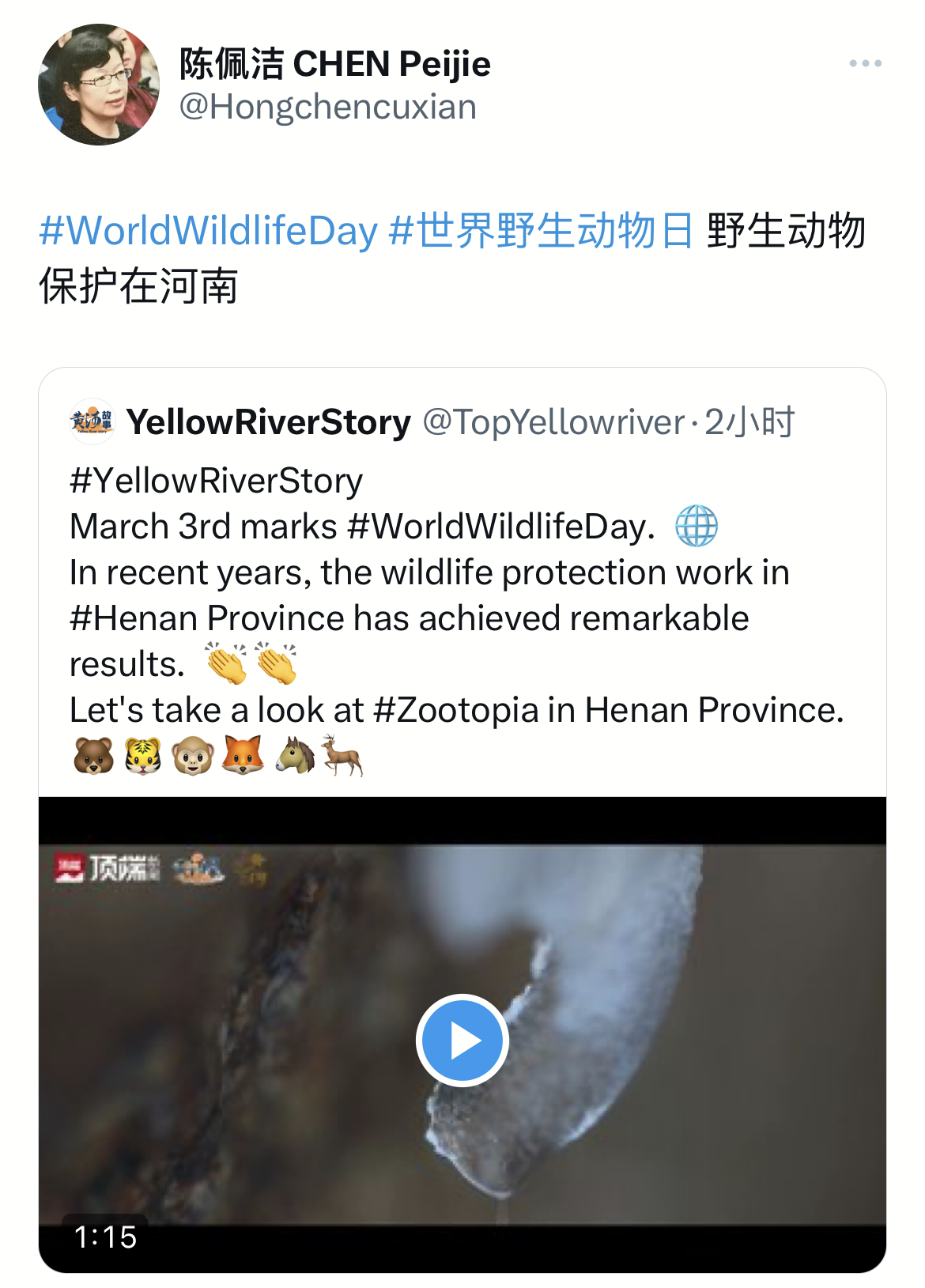“它們”被世界看見！多位外交官點(diǎn)贊河南野生動(dòng)物保護(hù)
