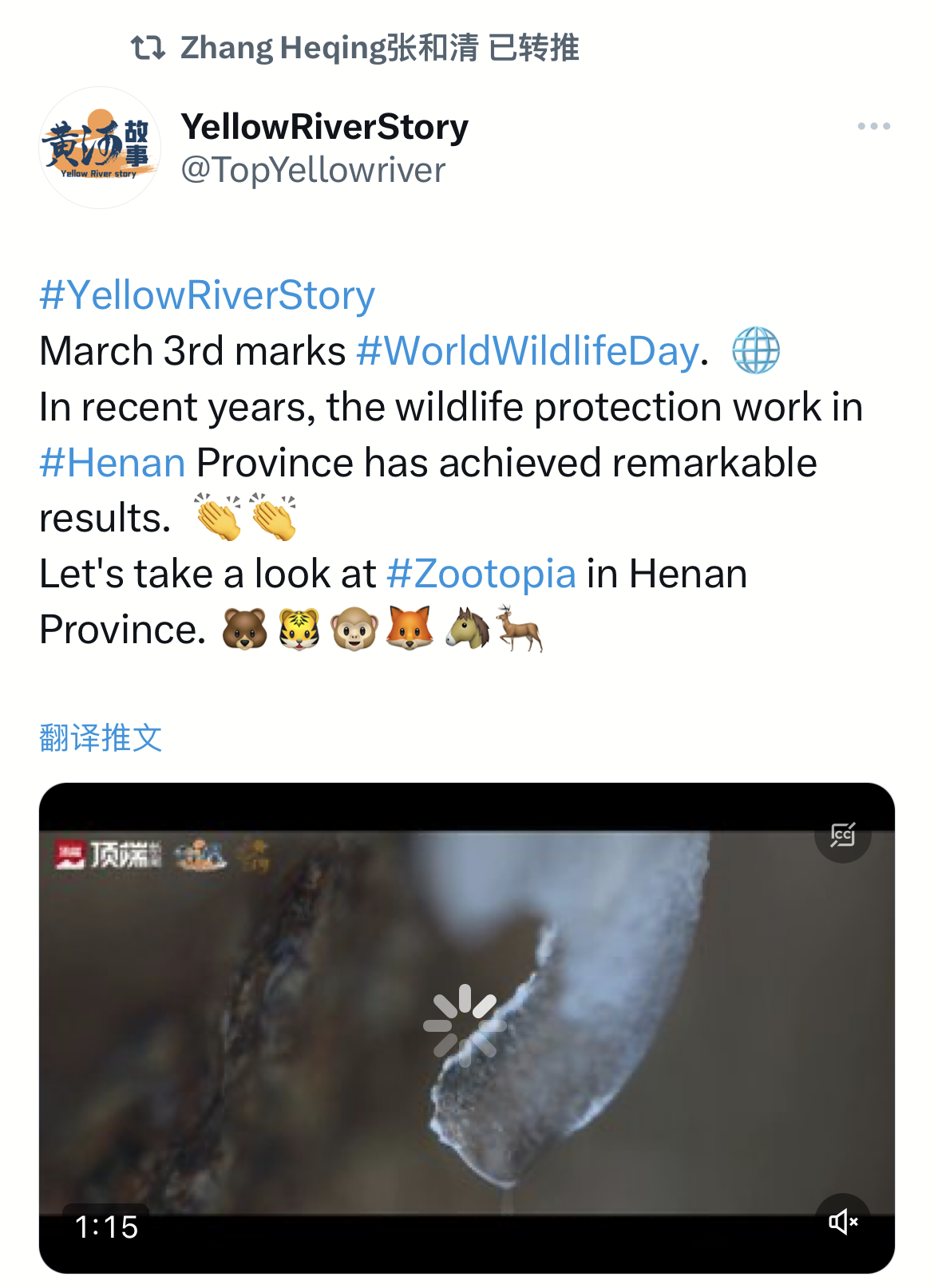 “它們”被世界看見！多位外交官點(diǎn)贊河南野生動(dòng)物保護(hù)