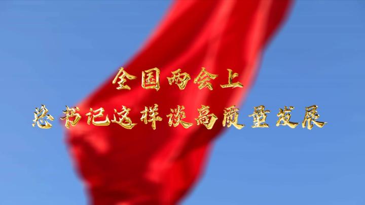  全國兩會(huì)上，總書記這樣談高質(zhì)量發(fā)展