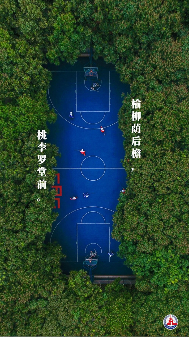 新華全媒+丨植樹傳統(tǒng)，從古詩中走來