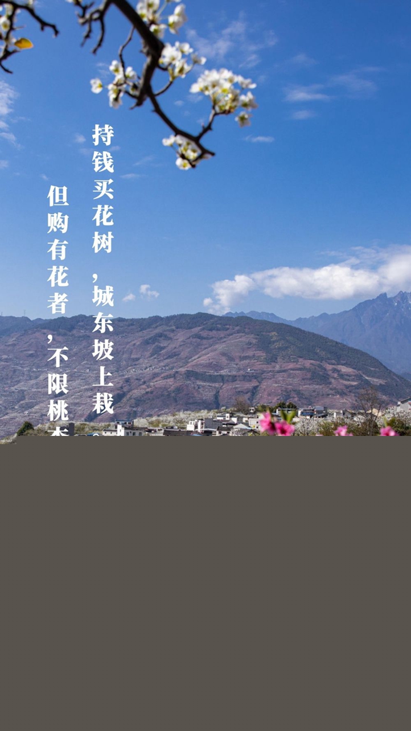 新華全媒+丨植樹傳統(tǒng)，從古詩中走來