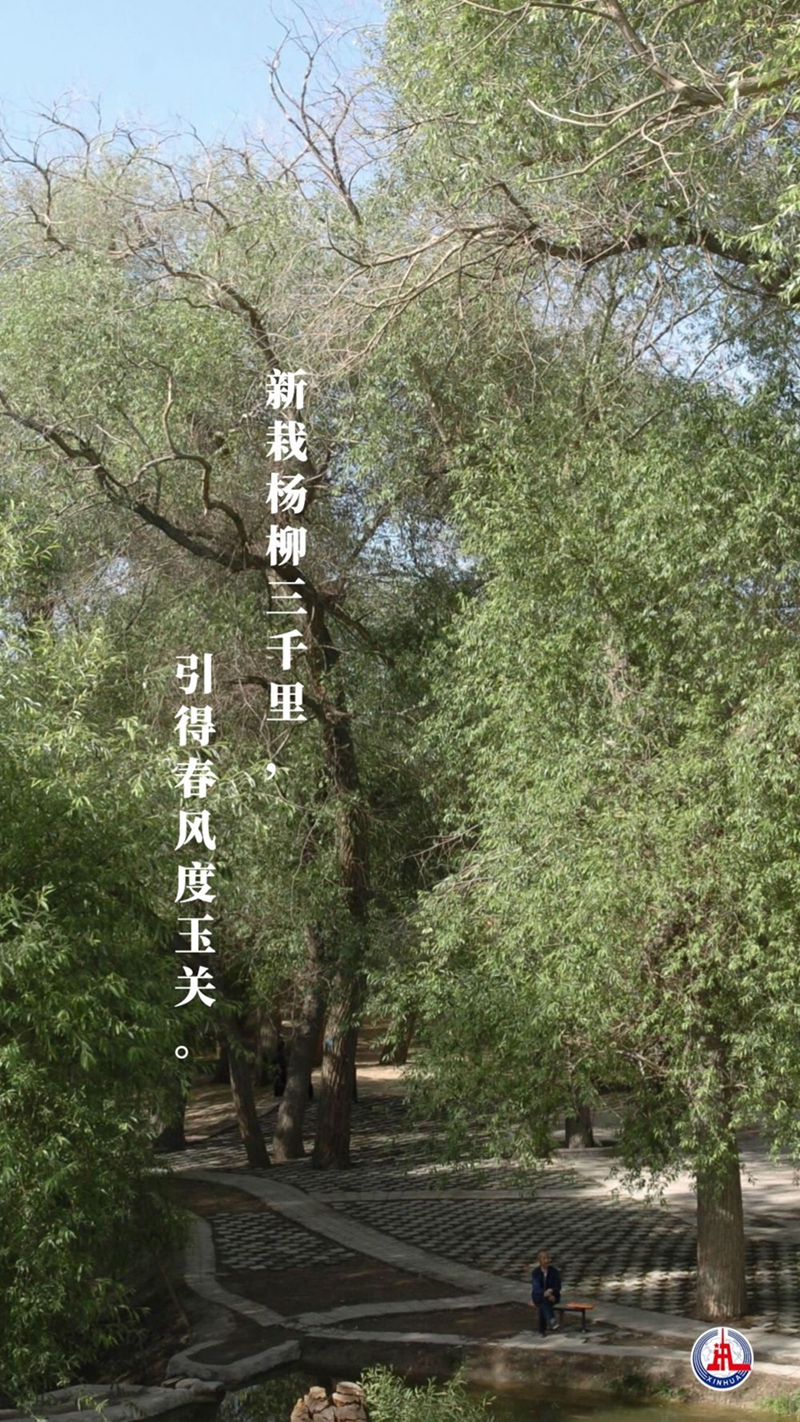 新華全媒+丨植樹傳統(tǒng)，從古詩中走來