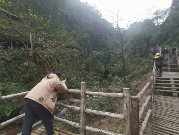 峨眉山猴子被拘留？假的！峨眉山猴子是國家二級保護動物