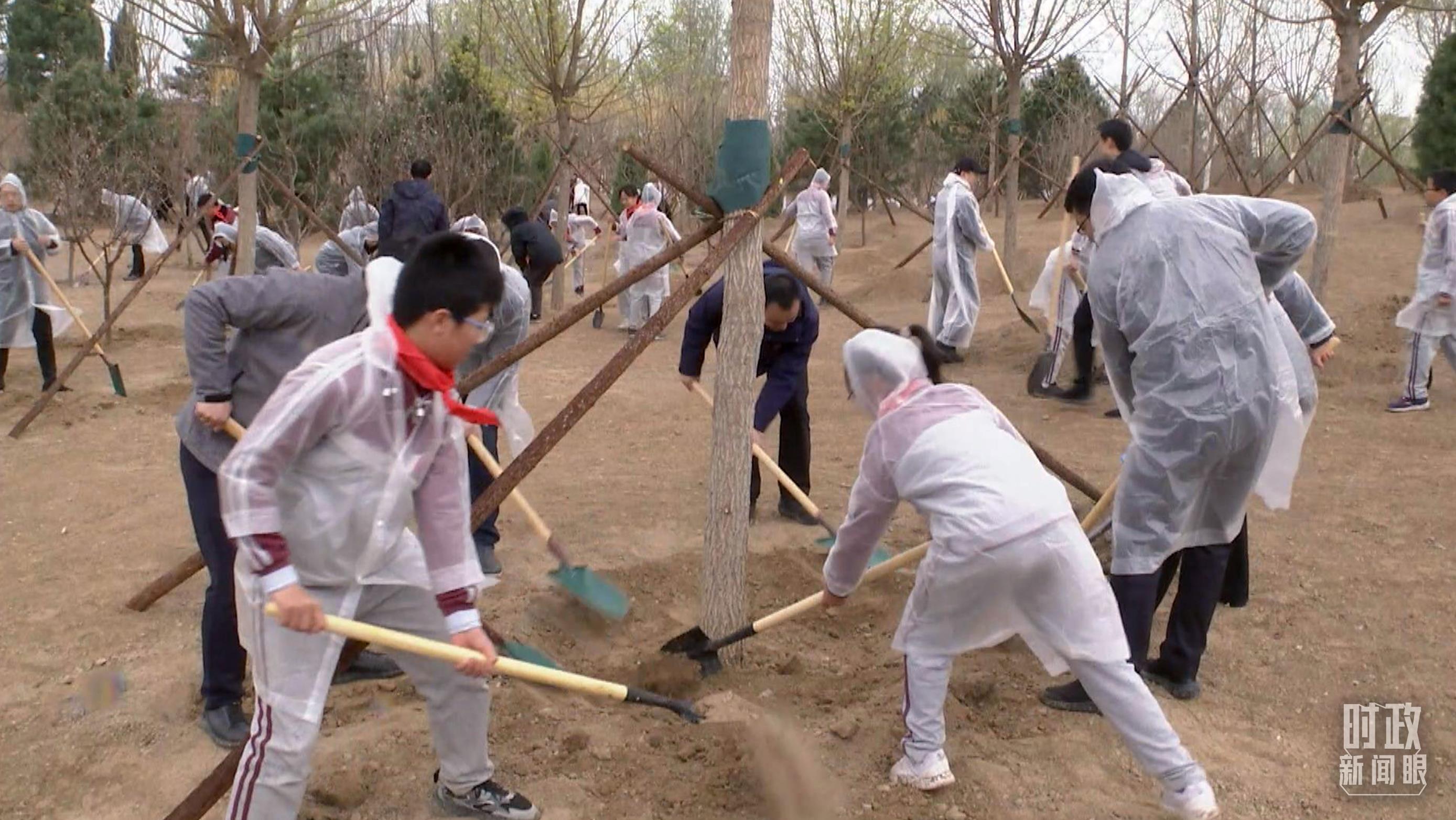 時(shí)政新聞眼丨在今年首都義務(wù)植樹現(xiàn)場，習(xí)近平這三句話飽含深意