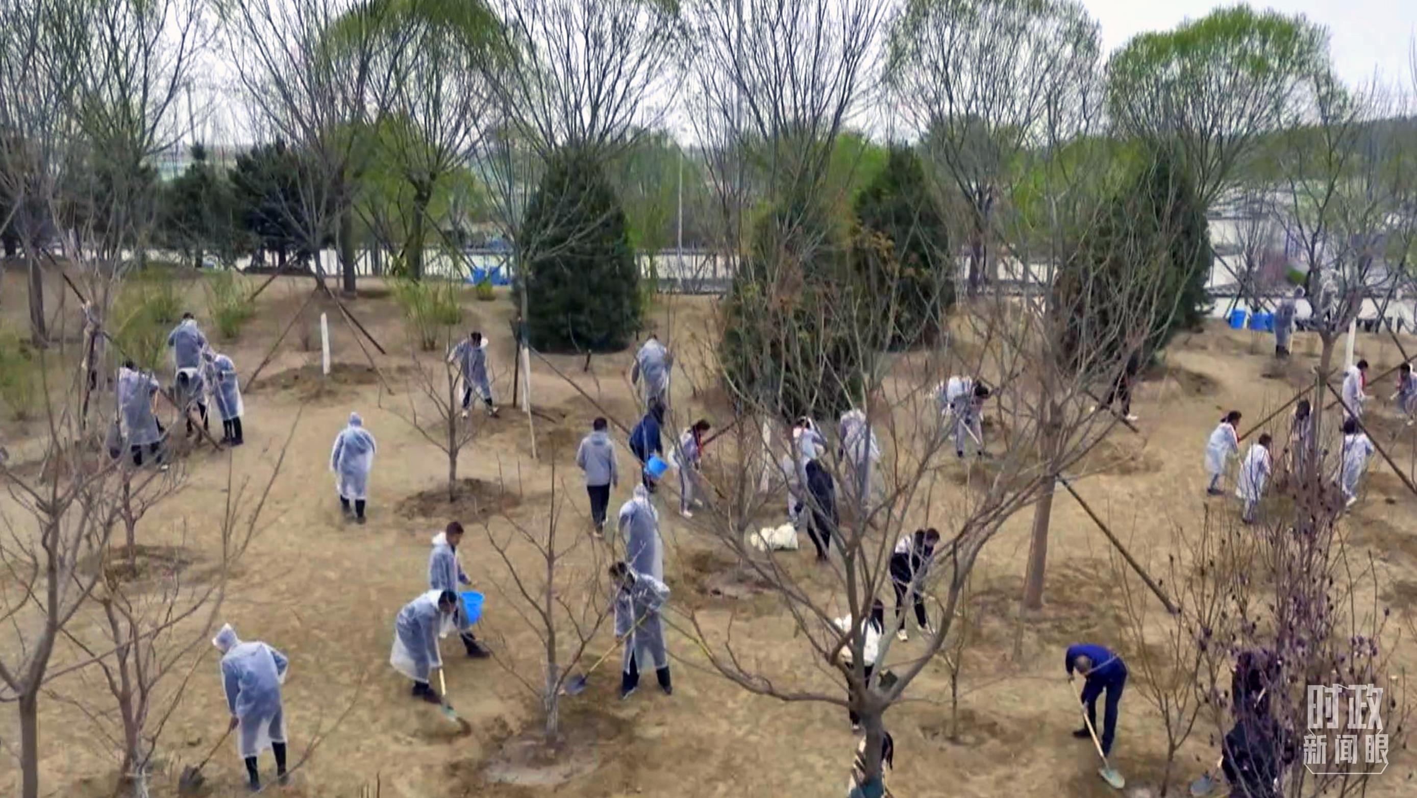 時(shí)政新聞眼丨在今年首都義務(wù)植樹現(xiàn)場，習(xí)近平這三句話飽含深意