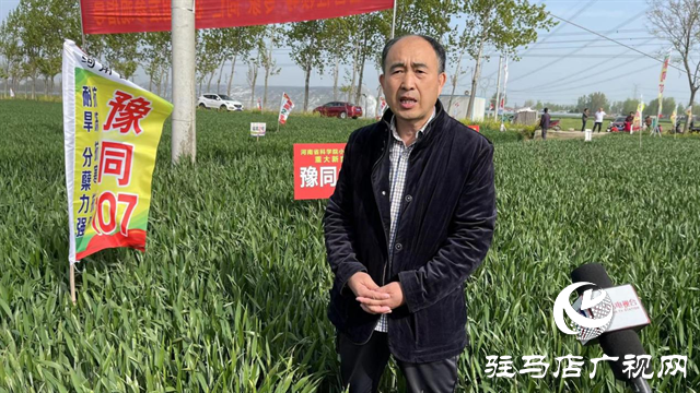 重磅！噸源種業(yè)再添強(qiáng)勢(shì)小麥品種，豫同107助農(nóng)增產(chǎn)豐收！