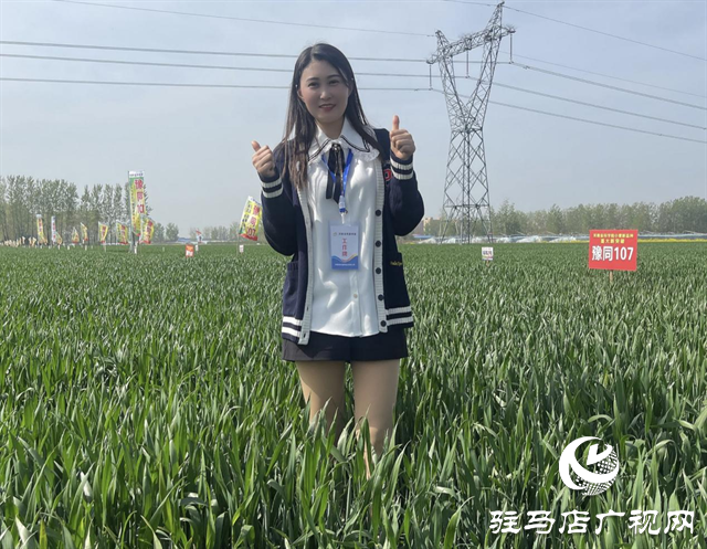 重磅！噸源種業(yè)再添強(qiáng)勢(shì)小麥品種，豫同107助農(nóng)增產(chǎn)豐收！