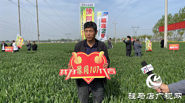 重磅！噸源種業(yè)再添強(qiáng)勢(shì)小麥品種，豫同107助農(nóng)增產(chǎn)豐收！