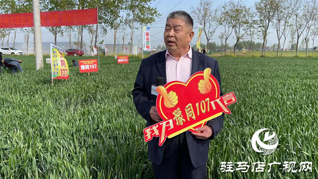 重磅！噸源種業(yè)再添強(qiáng)勢(shì)小麥品種，豫同107助農(nóng)增產(chǎn)豐收！