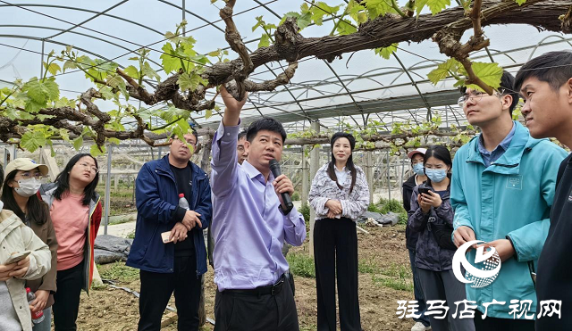 河南農業(yè)大學園藝學院深入杰美公司開展“訪企拓崗促就業(yè)”活動