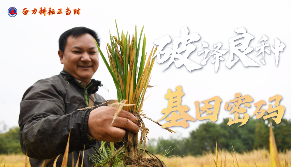 新時(shí)代新征程新偉業(yè)·習(xí)近平總書(shū)記關(guān)切事丨奮力耕耘正當(dāng)時(shí)——農(nóng)業(yè)強(qiáng)國(guó)建設(shè)一線的四個(gè)故事
