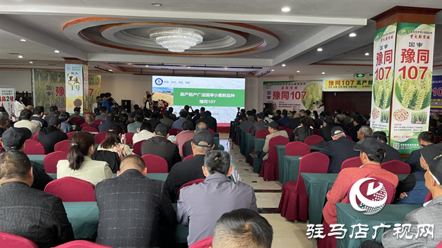 引領(lǐng)小麥新方向！噸源種業(yè)2023年豫同107觀摩會隆重召開