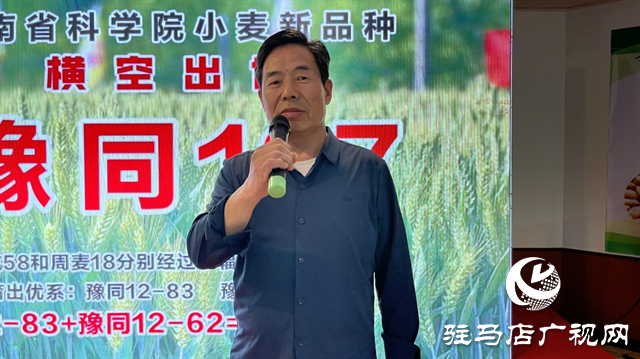 引領(lǐng)小麥新方向！噸源種業(yè)2023年豫同107觀摩會隆重召開