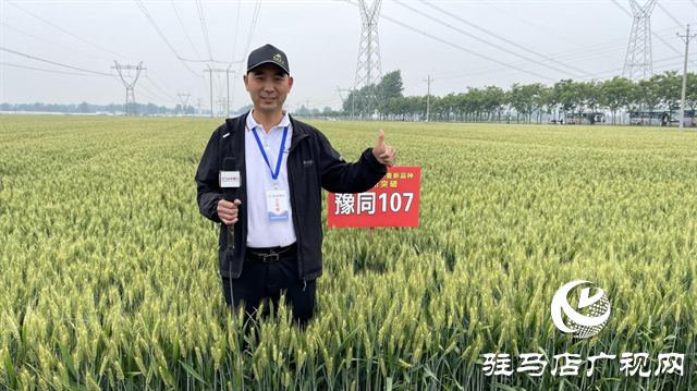 引領(lǐng)小麥新方向！噸源種業(yè)2023年豫同107觀摩會隆重召開