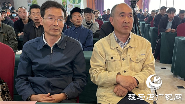 引領(lǐng)小麥新方向！噸源種業(yè)2023年豫同107觀摩會隆重召開