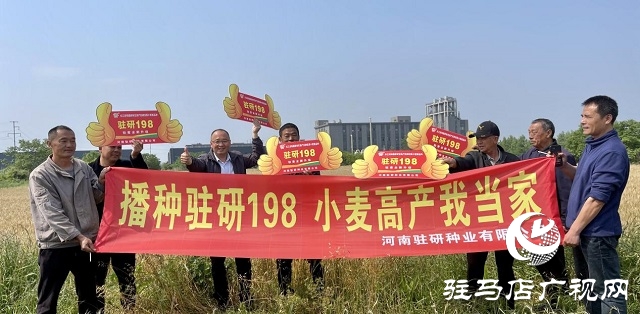 駐研種業(yè)捷報(bào)頻傳：駐麥126、駐麥156、駐研198相繼通過(guò)審定