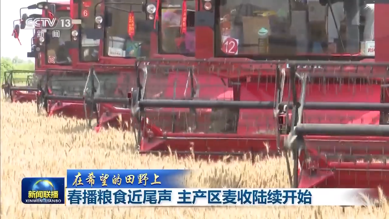 8.1億畝！全國(guó)春播糧食進(jìn)度約90% 5月底冬小麥將大面積收獲
